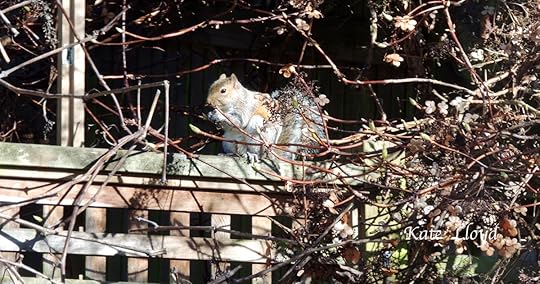 Suddenly, critters came out to enjoy the sun and munch on a snack.