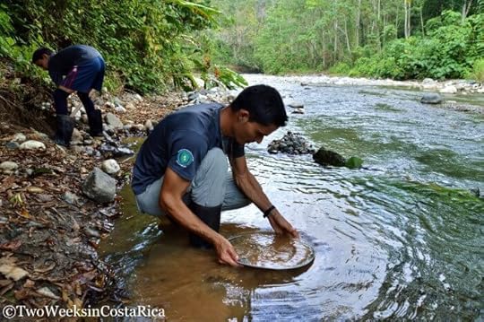 Corcovado’s El Tigre Entrance- Hiking and Activities from Puerto Jimenez | Two Weeks in Costa Rica