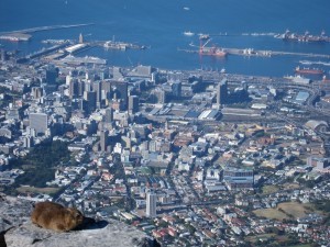 A dassie atop Table Mountain