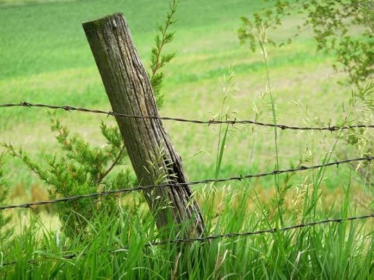 fence