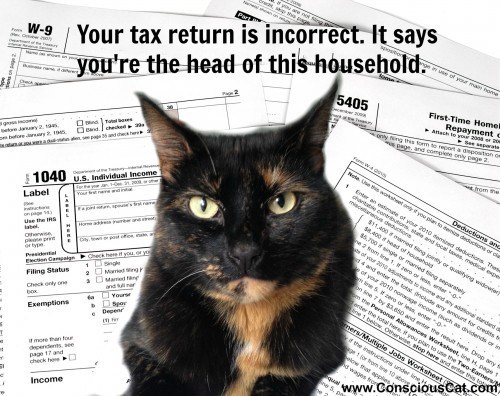 cats-taxes