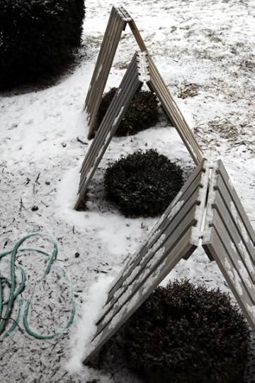 Our front bushes, fully protected against snow damage.