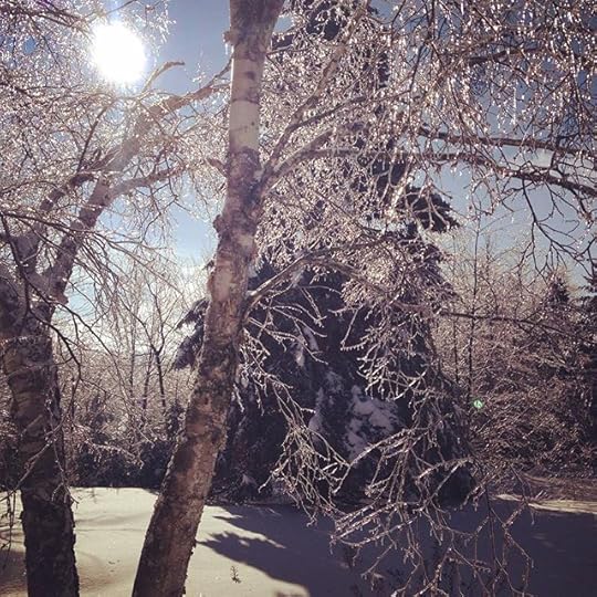 Winter wonderland #2 #laurentides #winterwonderland #nature #winter #quebec