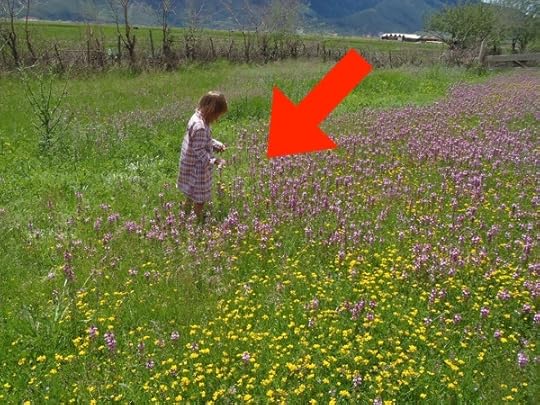 belajar calistung ki hajar dewantara anak bukan kertas kosong