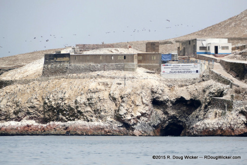 Abandoned Guano Mine