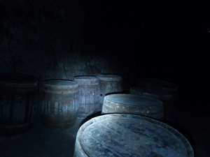 Fort Amherst
