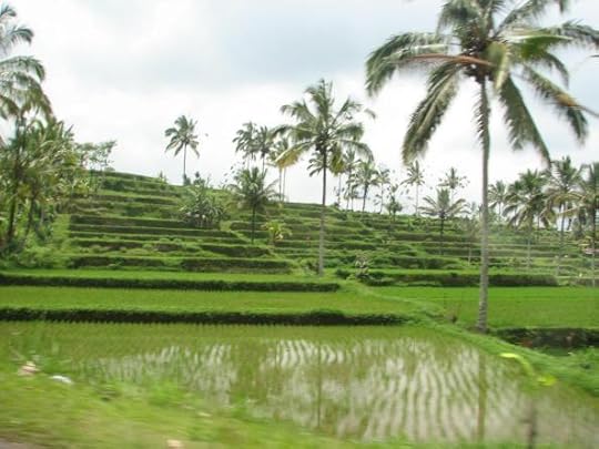 340435_10150490260754762_683681489_o