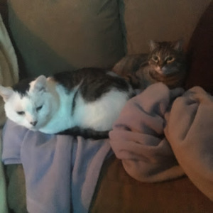 Patch and Thalia together