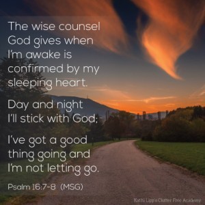 Wise-Council-Feb-18