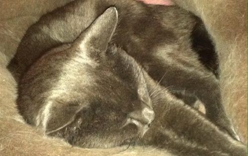 Facebook-20160120-073901