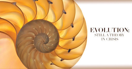 ESTC Facebook banner.jpg
