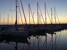 Dov-Ber Kerler's photo.