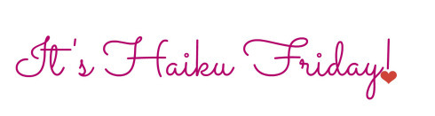 Haiku Friday-The Writer Next Door