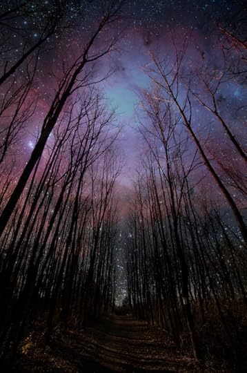Kiss the Stars