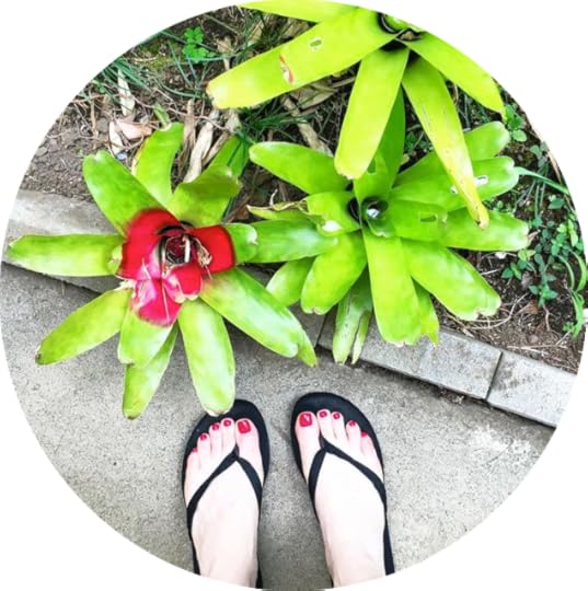 12724776_192571817767659_1333677593_n