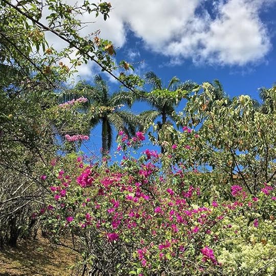 12728513_1675006106120988_344139481_n