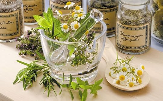 plantes medicinales