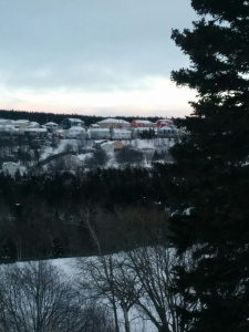 A suburb in the snow