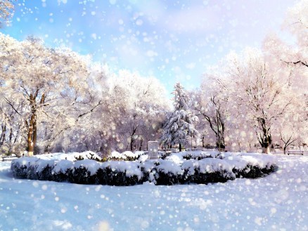 blogger, blogging, old age, aging well