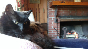 IMG_20151128_092036032