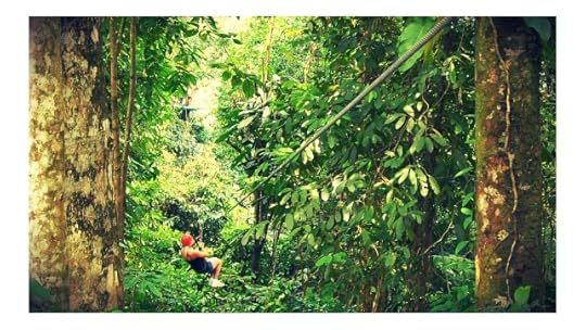 Amberly_Smith_Subtle_Criteria_Banner