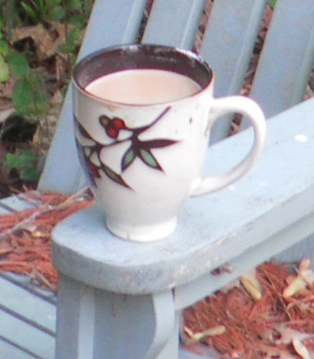 SAMSUNG DIGITAL CAMERA