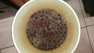 Cherry Chocolate Almond primary fermentation