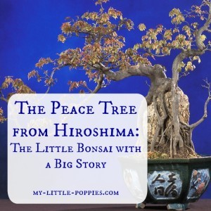 The-Peace-Tree-from-Hiroshima-The-Little-Bonsai-with-a-Big-Story-300x300