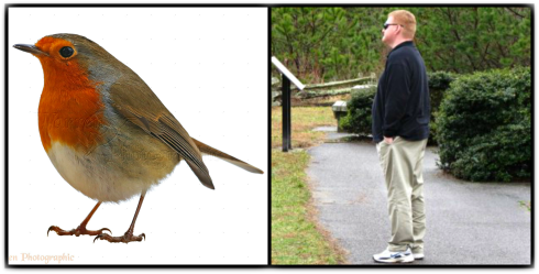 Ronovanwrites-The Writer Next Door