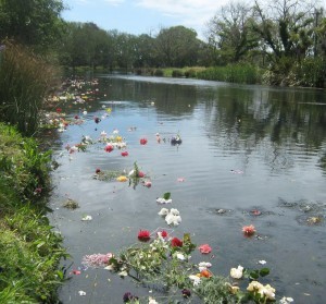 The River of Flowers, at Medway Street