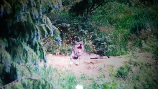 WP_20160221_18_29_08_Pro