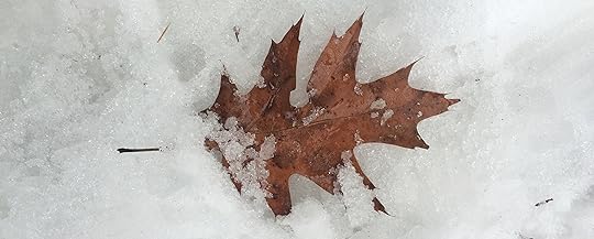 Struggling with self-care during winter? Try these 9 simple suggestions.