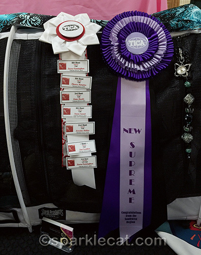 TICA ribbon with finals and new supreme ribbon