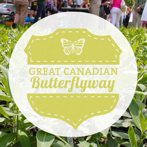 Photo: Homegrown keeps growing