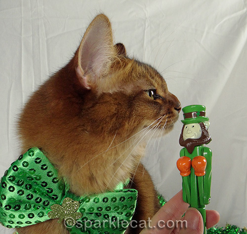 somali cat in green bow with plastic leprechaun pen