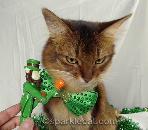 somali cat with punching leprechaun toy pen