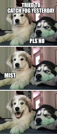 funny sad dog