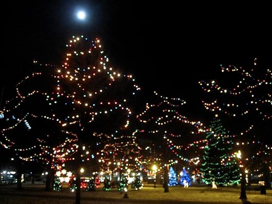 Bronson Park all dressed up for Christmas. Lots of trees and more Christmas lights than reasonable.
