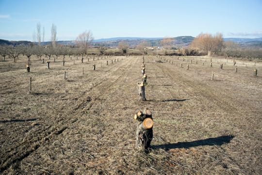 12-29 Field L1003767