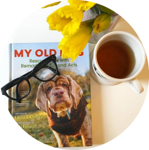 12725094_954560631246392_1744643670_n