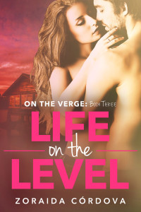 LOTLevel_cover