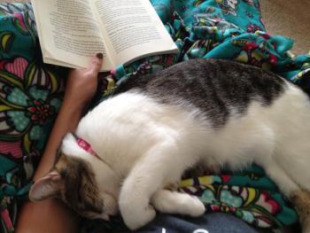 readingwithzoey