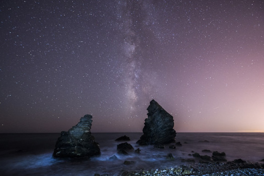 The Lush of Night