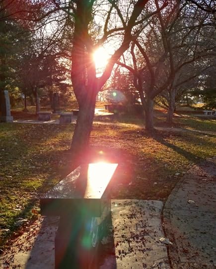 Memorial Park2