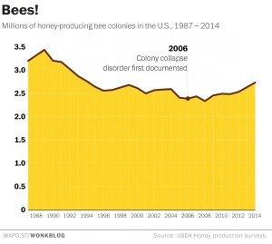 This graph shows the number of honeybee colonies in the U.S. each year. (click for source)