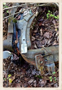 Car Parts in the Forest P 2 (Framed)