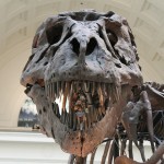 Tyrannousaurus
