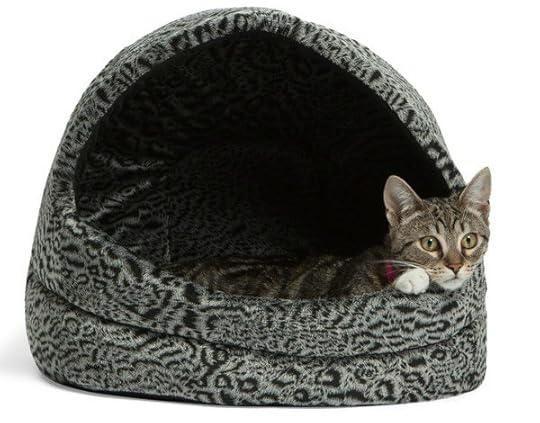 Abby-Pet-Hut