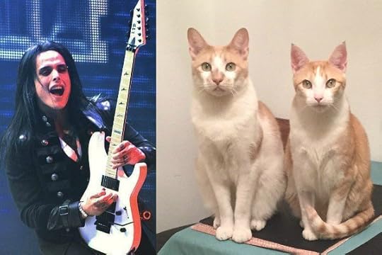 Bill-Hudson-cats-guitars