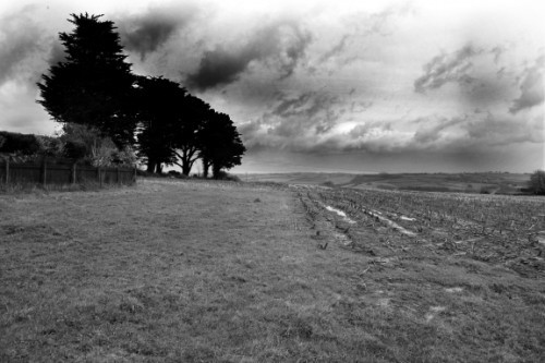 Soggy Devon 4